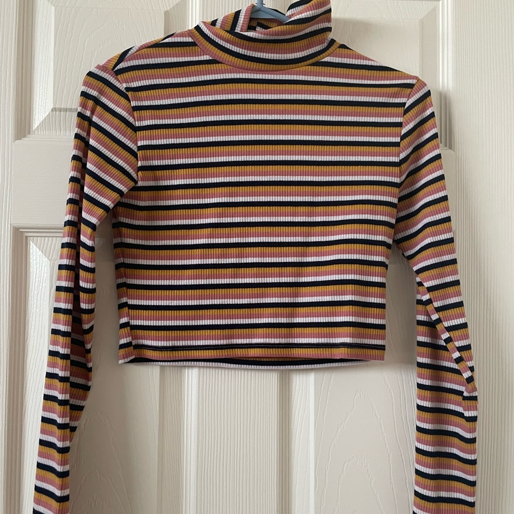 Striped Turtleneck Crop Top